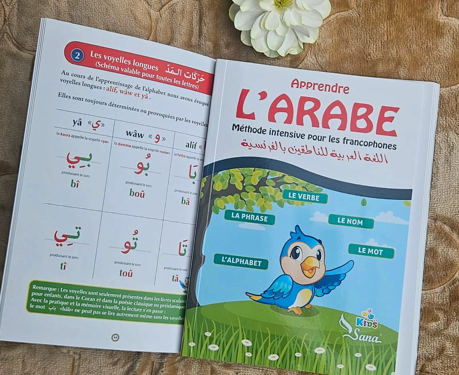 Comment apprendre l'arabe avec une ethnie simple – photo 2